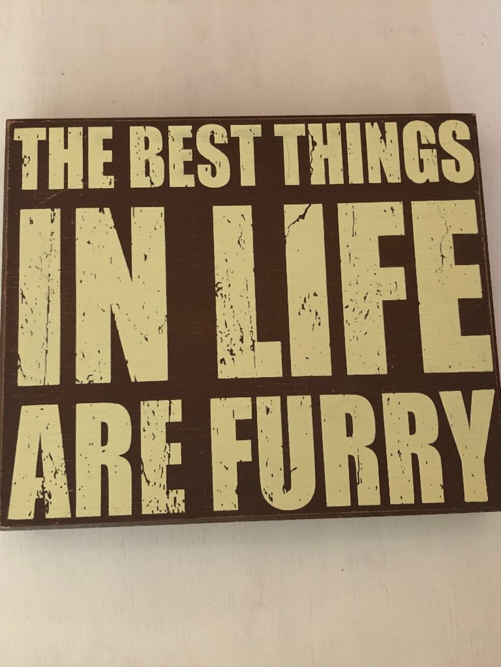 The Best Things In Life Are Furry - 10x12 Rustic Wooden Box Sign Wall Art Decor
